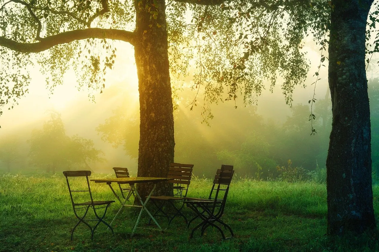 Kleiner Tisch mit vier Klappstühlen unter einem Baum auf einer Wiese, Morgennebel und Sonnenstrahlen im Hintergrund.